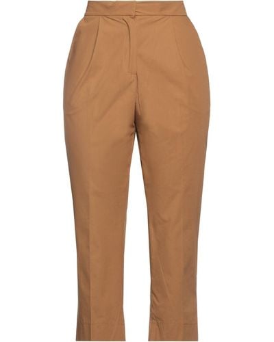 Alpha Studio Trouser - Brown