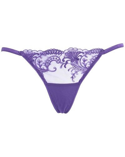 Bluebella Thong - Purple