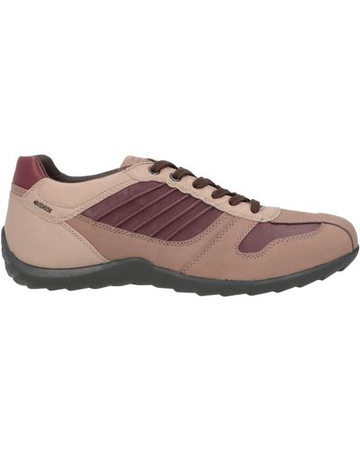 Geox Trainers - Brown