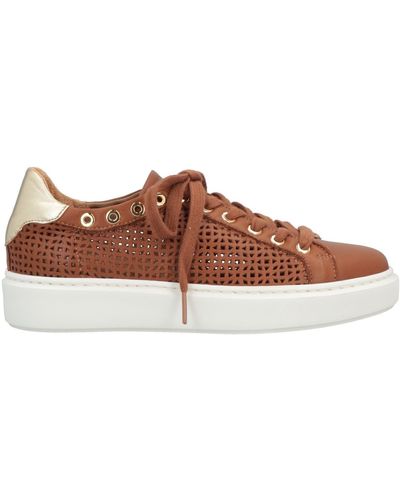 Stele Trainers - Brown