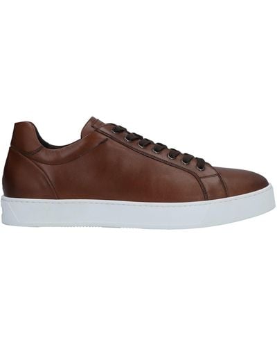 Triver Flight Trainers - Brown
