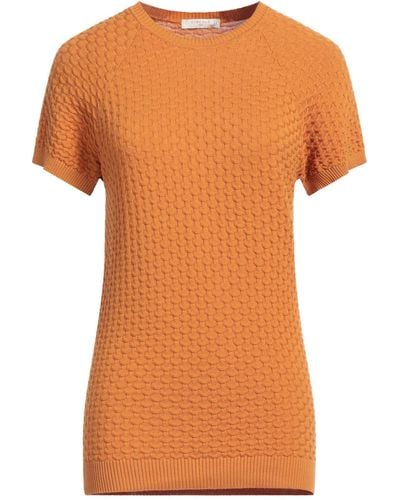 Circolo 1901 Sweater - Orange