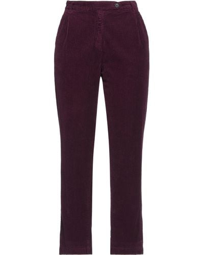 Massimo Alba Trouser - Purple