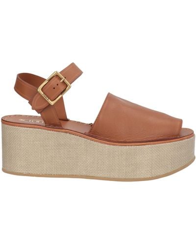 Tod's Sandals - Brown