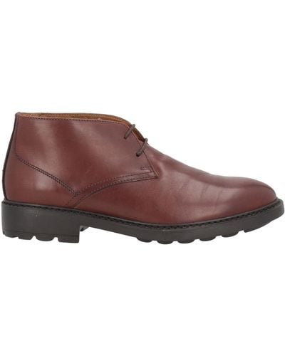 Pollini Ankle Boots - Brown