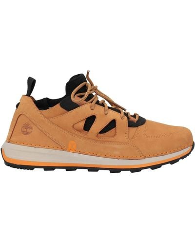 Timberland Sneakers - Marron