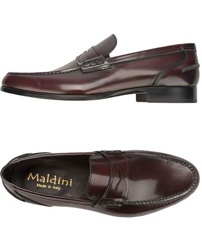 Maldini Loafers - Multicolor
