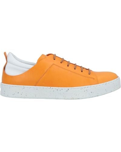 Pantanetti Sneakers - Orange