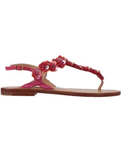 Maliparmi Thong Sandal - Brown