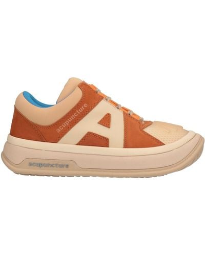 Acupuncture Sneakers - Marron