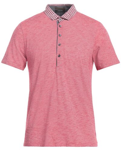 Svevo Polo Shirt - Pink