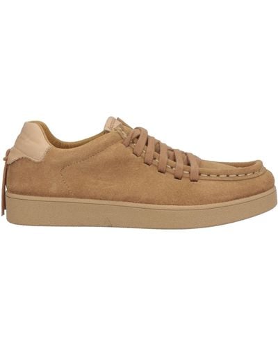 Barracuda Sneakers - Brown