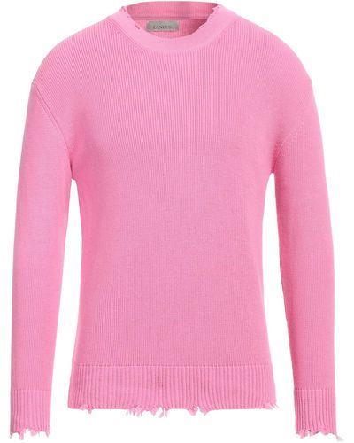 Laneus Pullover - Pink