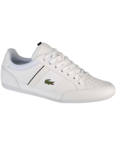 Lacoste Sneakers - Blanc