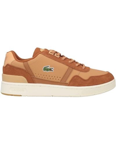 Lacoste Sneakers - Brown