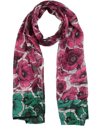 Class Roberto Cavalli Scarf - Purple