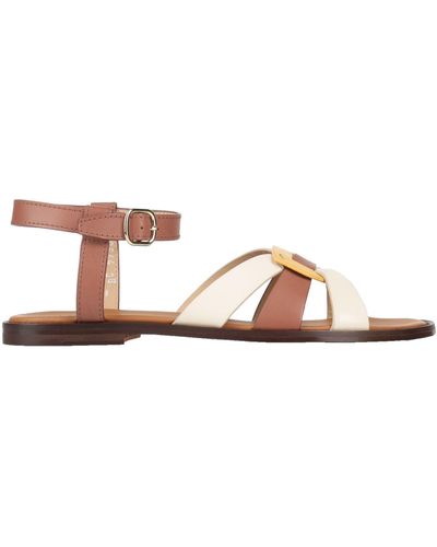 Doucal's Sandals - Brown