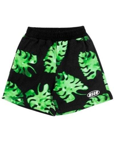 MSGM Shorts E Bermuda - Verde