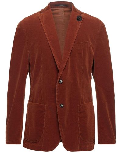 Windsor. Suit Jacket - Brown