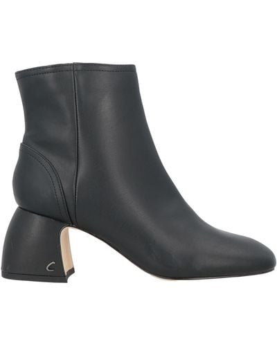 Circus by Sam Edelman Ankle Boots - Black