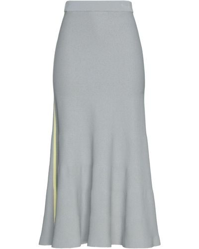 Loewe Long Skirt - Gray
