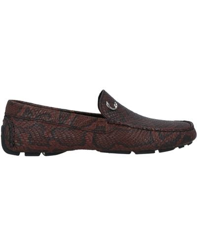 Just Cavalli Loafers - Brown