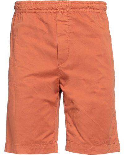 Cruna Shorts E Bermuda - Arancione