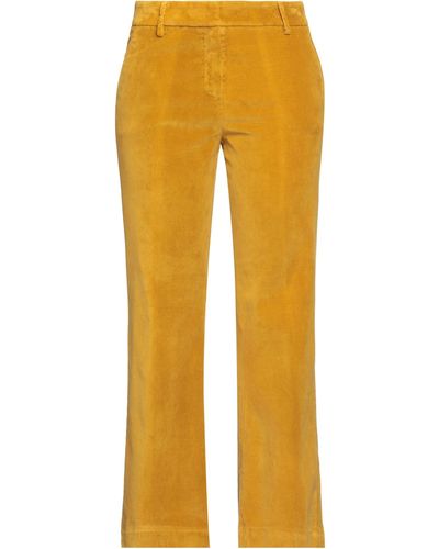 True Royal Trousers - Yellow