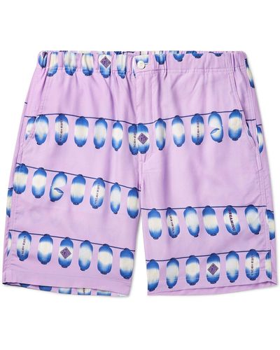 Flagstuff Shorts E Bermuda - Multicolore