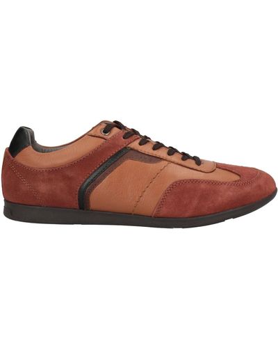 Geox Sneakers - Brown