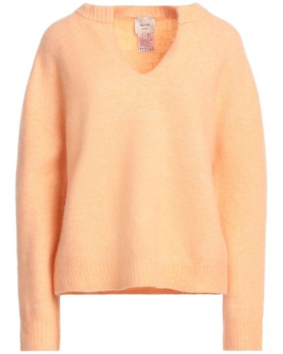 Alysi Sweater - Orange