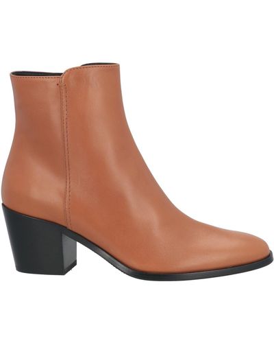Tod's Ankle Boots Calfskin - Brown
