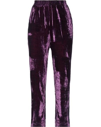 HOD Trouser - Purple