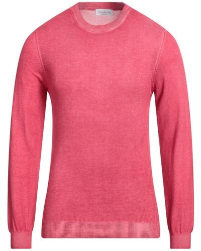 Bellwood Pullover - Pink