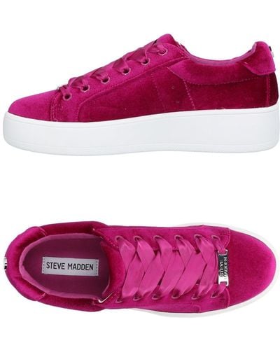 Steve Madden Sneakers - Purple