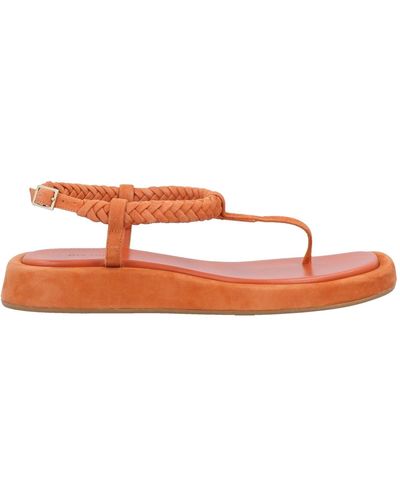 GIA COUTURE Toe Post Sandals - Multicolor
