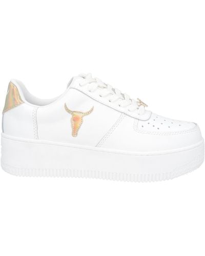 windsor smith white Sneakers