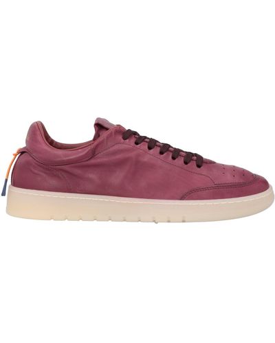 Barracuda Sneakers - Purple