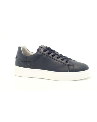 Nero Giardini Sneakers - Blu