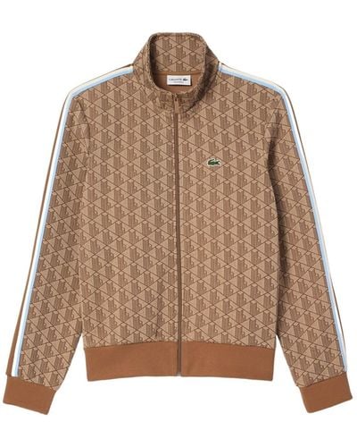 Lacoste Chaqueta y Cazadora - Marrón