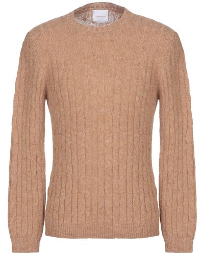 Bellwood Sweater - Brown