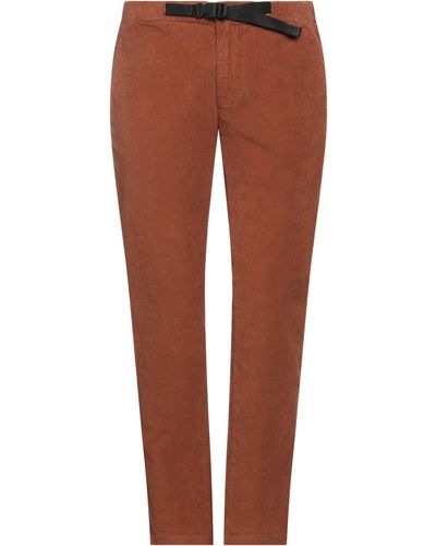 Modfitters Pants - Brown