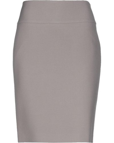 Peserico Midi Skirt - Gray