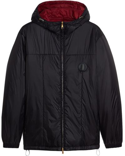 Dunhill Puffer - Blue