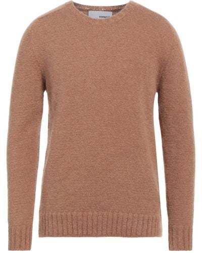 Costumein Sweater - Brown