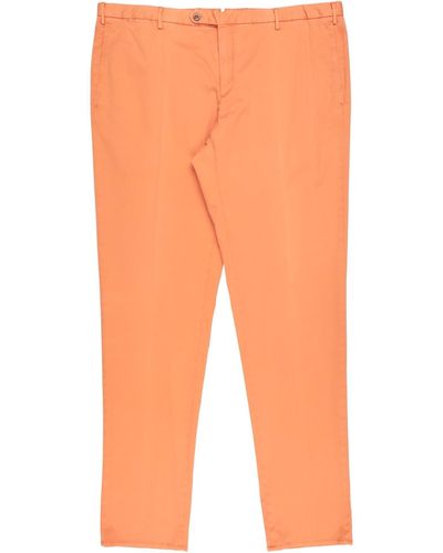 Zanella Trouser - Orange