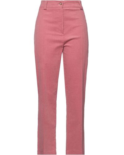 Hebe Studio Hose - Pink