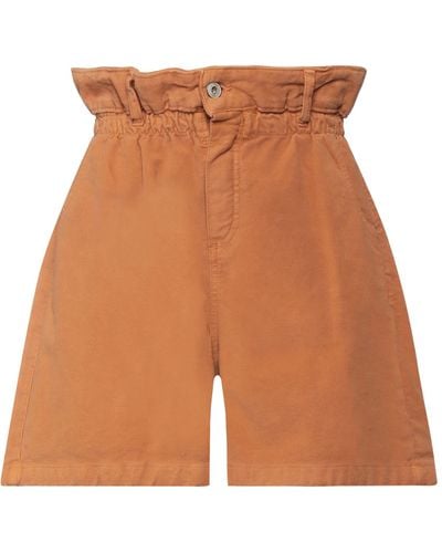 Dixie Shorts & Bermuda Shorts - Brown