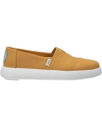 TOMS Trainers - White