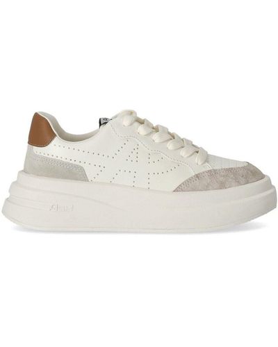 Ash Sneakers - Weiß